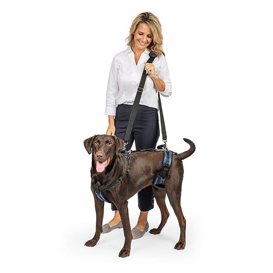 Woman walking dog with CareLift Full Body Harness